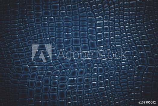 Picture of Crocodile leather texture background Macro shot Stock image